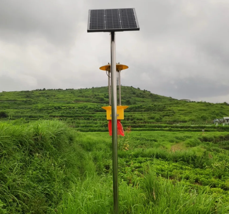 lʽ̫(yng)ܚxھGɫеõNֲߵďVu(png)