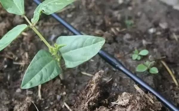 ˮһwg(sh)(dng)r(nng)ȹ˾I(lng)߀p