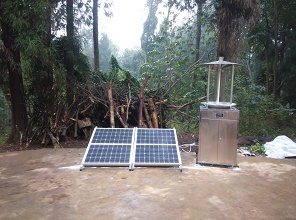 蟲情測(cè)報(bào)燈