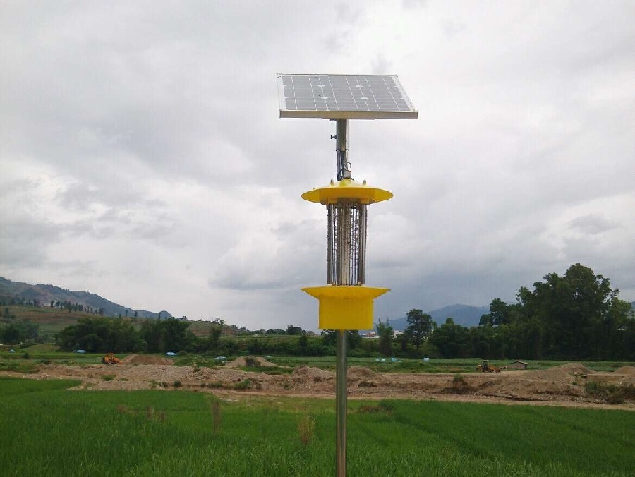 ̫(yng)ܚx(sh)F(xin)ЙC(j)߲˵a(chn)ȫ