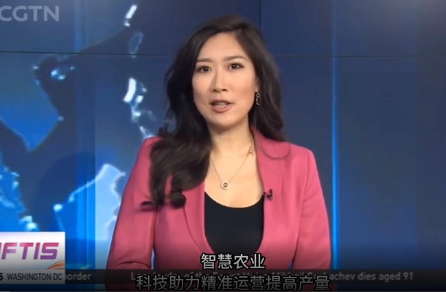 ЇHCGTN ҕЇ롷(ji)Ŀ^ꖸߘ˜r(nng)ʾ^(q)